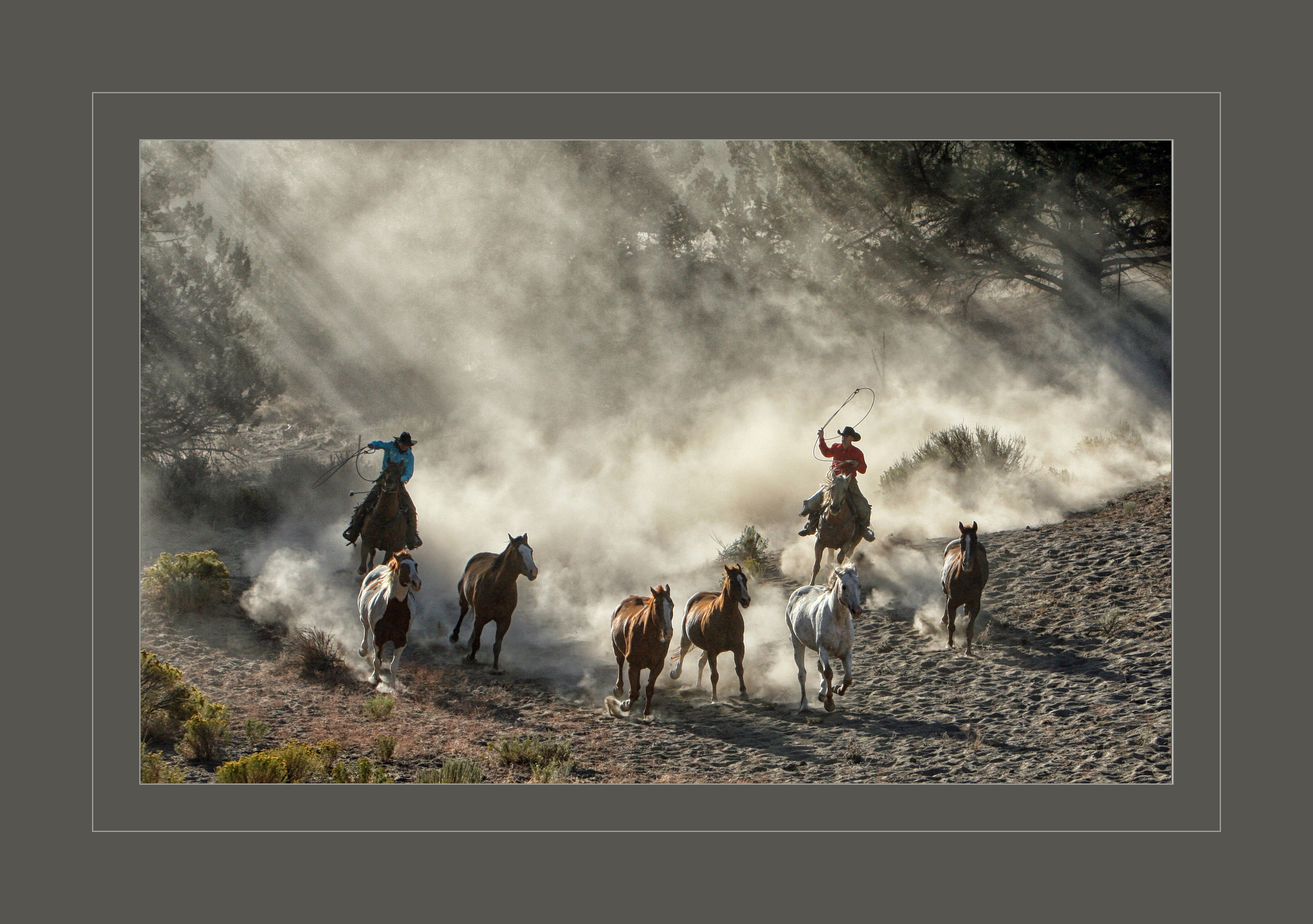 Horse photographer Wenatchee