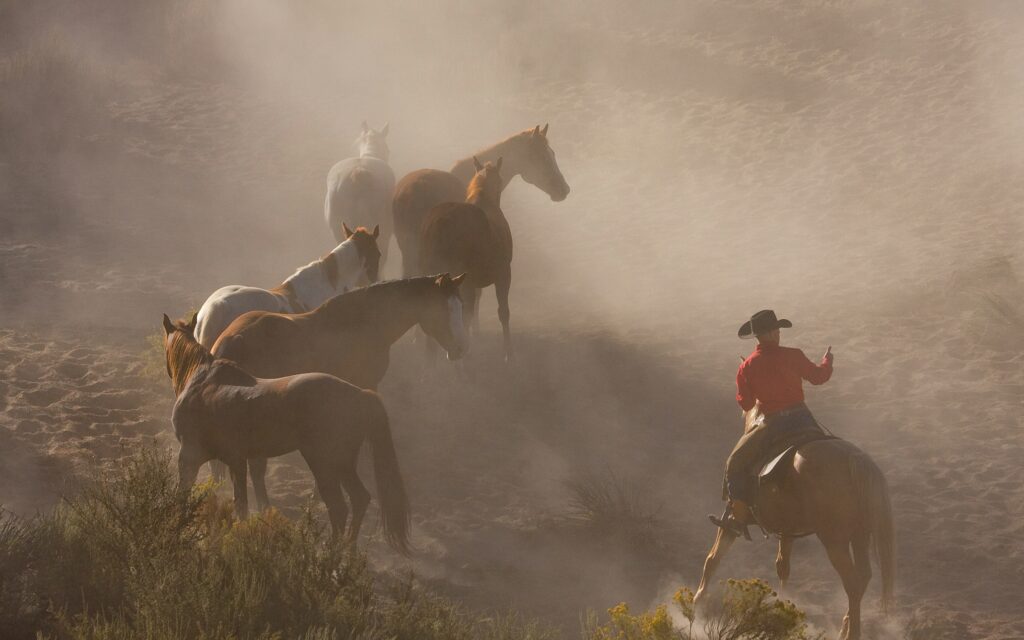 horses running in the dust with wrangler on horse in red shirt